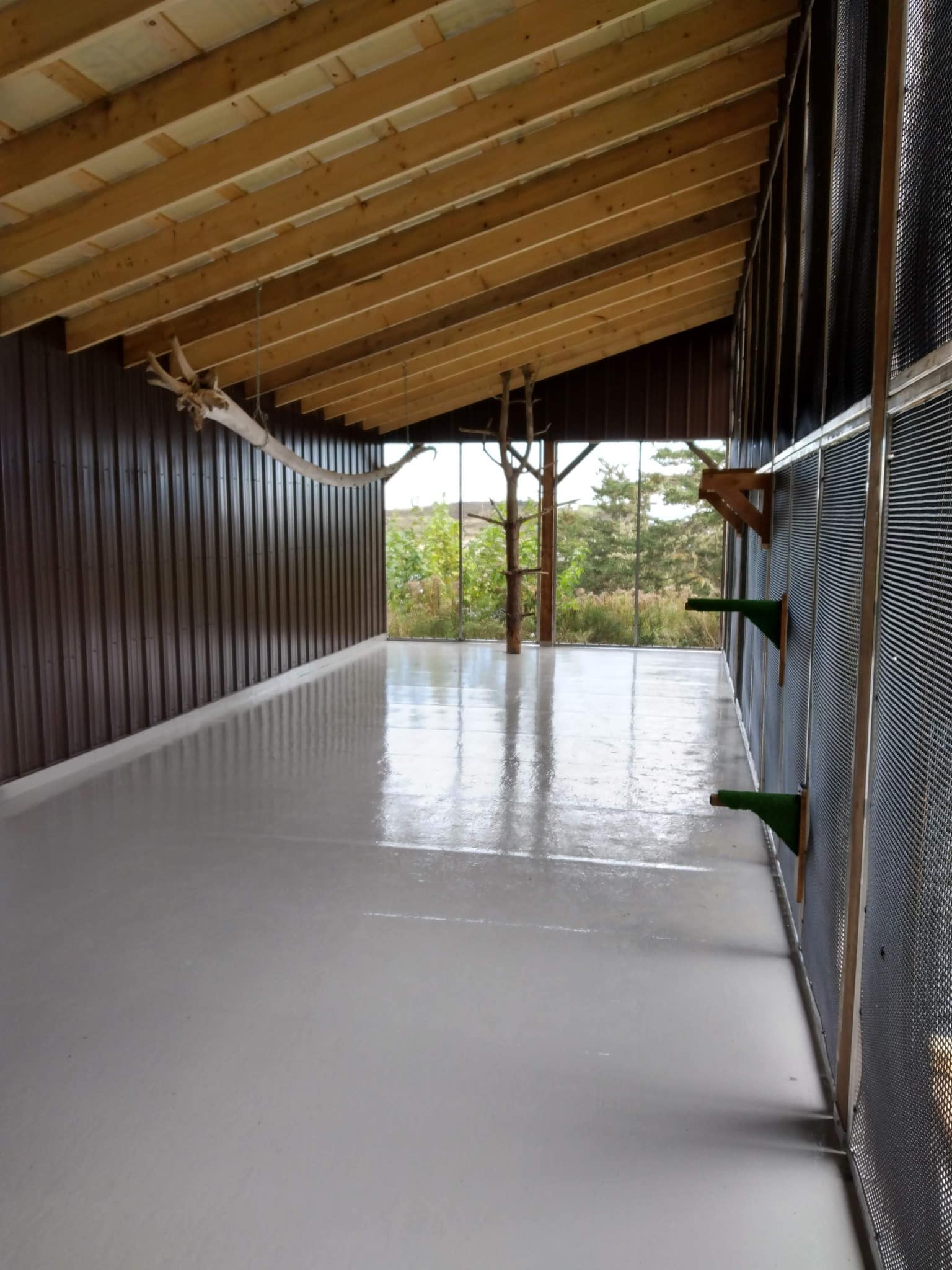 Epoxy Floors